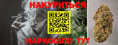 шишки Братск